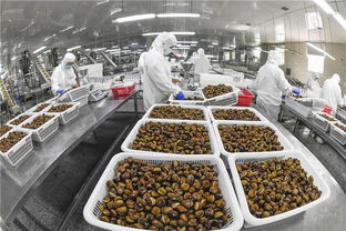 遵化 農產品轉化助農增收