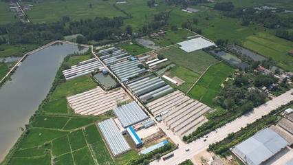 平橋區(qū):&ldquo;合作社+特色農(nóng)業(yè)&rdquo;繪就富民新畫卷