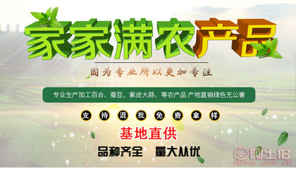 【甘肅廠家直銷優(yōu)質(zhì)紫皮獨(dú)頭蒜天然大蒜綠色安全大蒜食品蔬菜