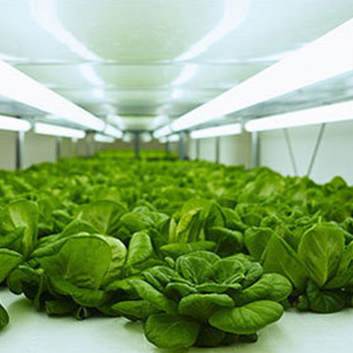 干兒子加盟電話 干兒子生鮮配送服務(wù) 玉溪干兒子加盟