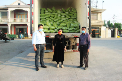 東臺市南沈灶鎮:"金"豆豆鼓起群眾錢袋子