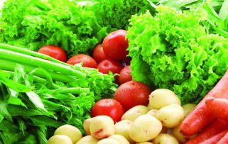 湖南永州蔬菜出口占全省八成多