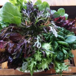 蘇尼特精品涮的有機(jī)蔬菜好不好吃 用戶評價口味怎么樣 呼和浩特美食有機(jī)蔬菜實(shí)拍圖片 大眾點(diǎn)評