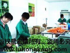 廈門價位合理的鷺宏康果蔬&middot;廠家直銷 市轄區廈門蔬菜配送圖片|廈門價位合理的鷺宏康果蔬&middot;廠家直銷 市轄區廈門蔬菜配送產品圖片由廈門鷺宏康果蔬公司生產提供-