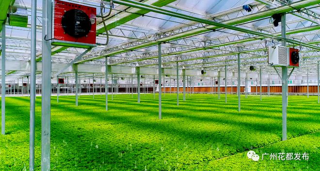 科技興農①丨綠沃川:發展現代智慧農業 帶動農民就業增收