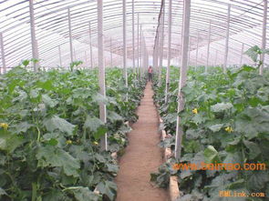 華洋學山水泥制品廠,華洋學山水泥制品廠生產(chǎn)廠家,華洋學山水泥制品廠價格