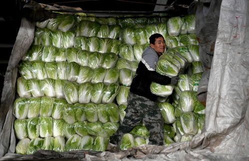 我們在古城遇見從容 西安防疫升級首日見聞