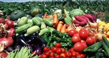 農產品地理標志助力產業扶貧 推動農產品區域品牌