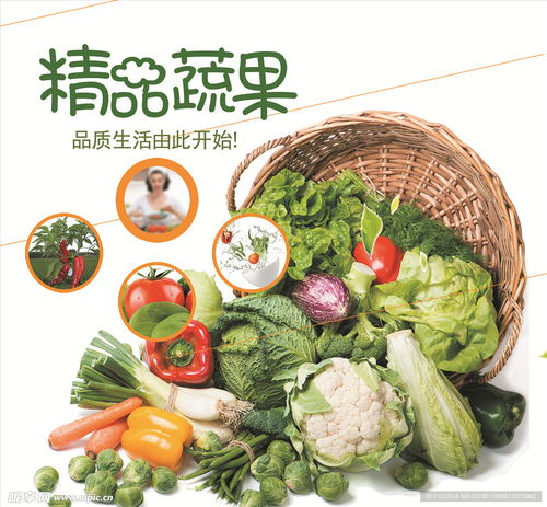 精品蔬菜 新鮮蔬菜 超市海報設(shè)計圖 psd分層素材 psd分層素材